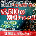 保護中: ご新規様対象 年末年始キャンペーン！（12/17～1/12）